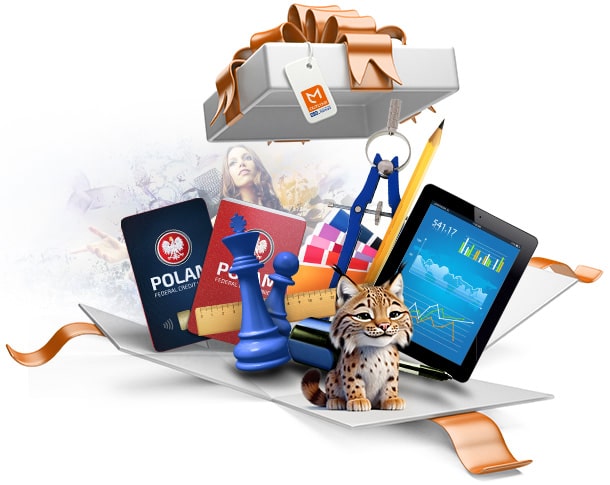 Digital Signage Solutions, Development and Marketing